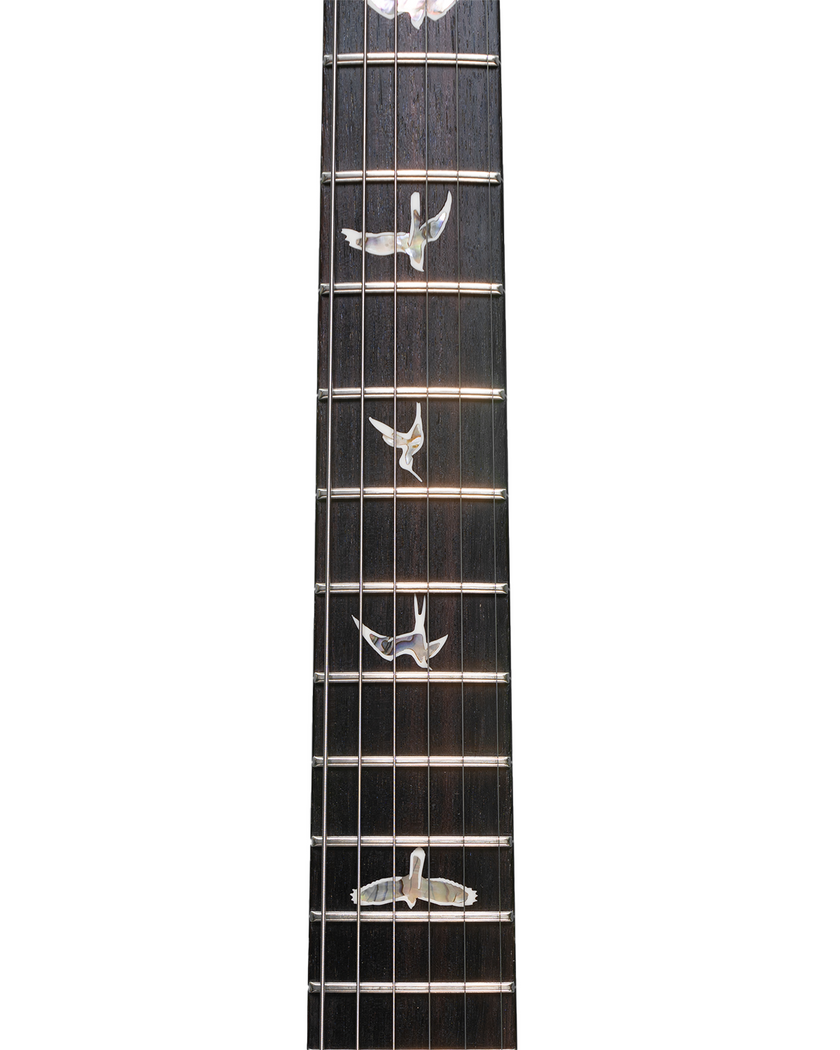 PRS Tremonti Signature - Charcoal Contour Burst