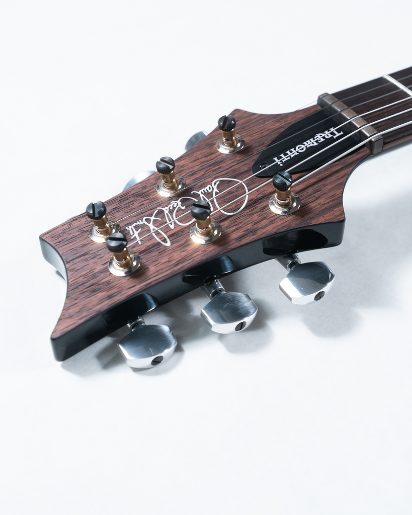 PRS Mark Tremonti Signature - Charcoal Wraparound Smokeburst