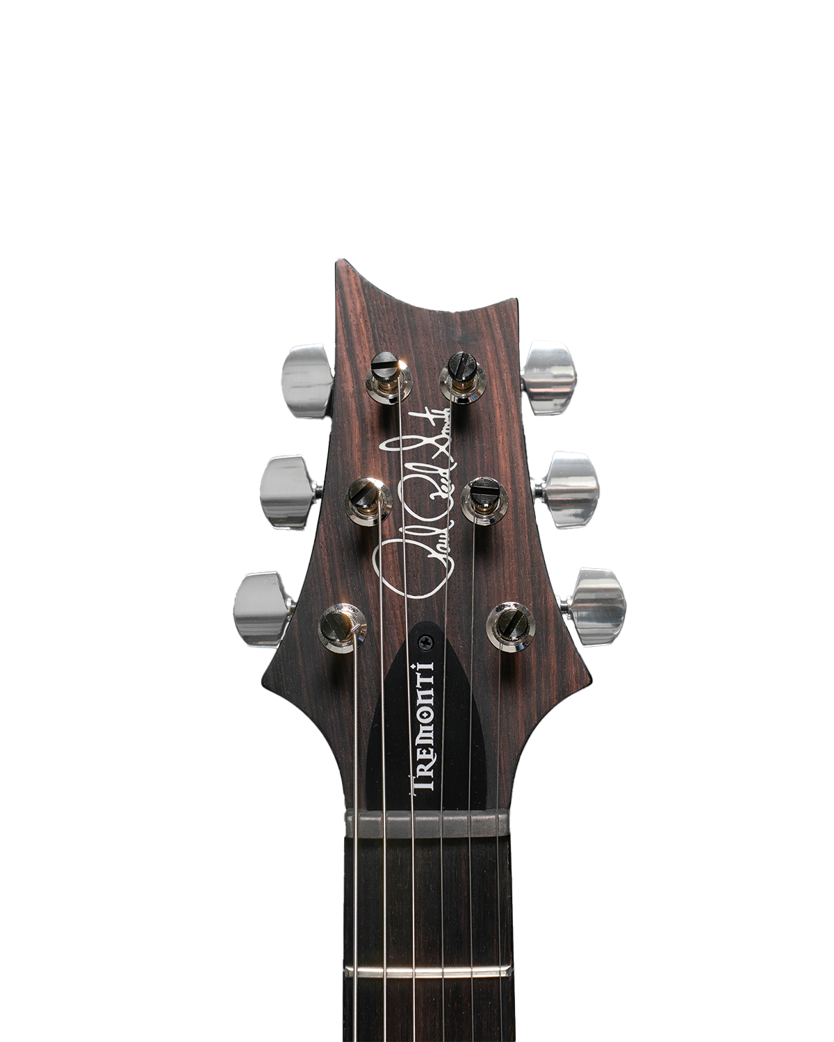 PRS Tremonti Signature - Carrol Blue Wraparound Smokeburst