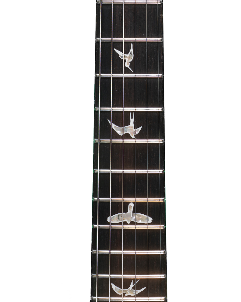 PRS Tremonti Signature - Carrol Blue Wraparound Smokeburst
